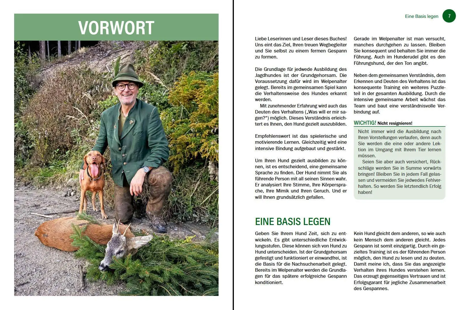 Bild: 9783702023287 | Jagdhunde ausbilden | Bernhard Hammer | Buch | 168 S. | Deutsch | 2026