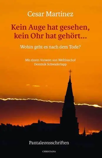 Cover: 9783717113287 | Kein Auge hat gesehen, kein Ohr hat gehört ... | Cesar Martinez | Buch