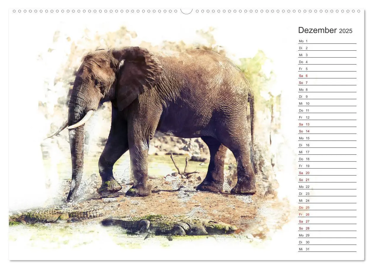 Bild: 9783435403387 | Tierportraits - Fine Art (Wandkalender 2025 DIN A2 quer), CALVENDO...