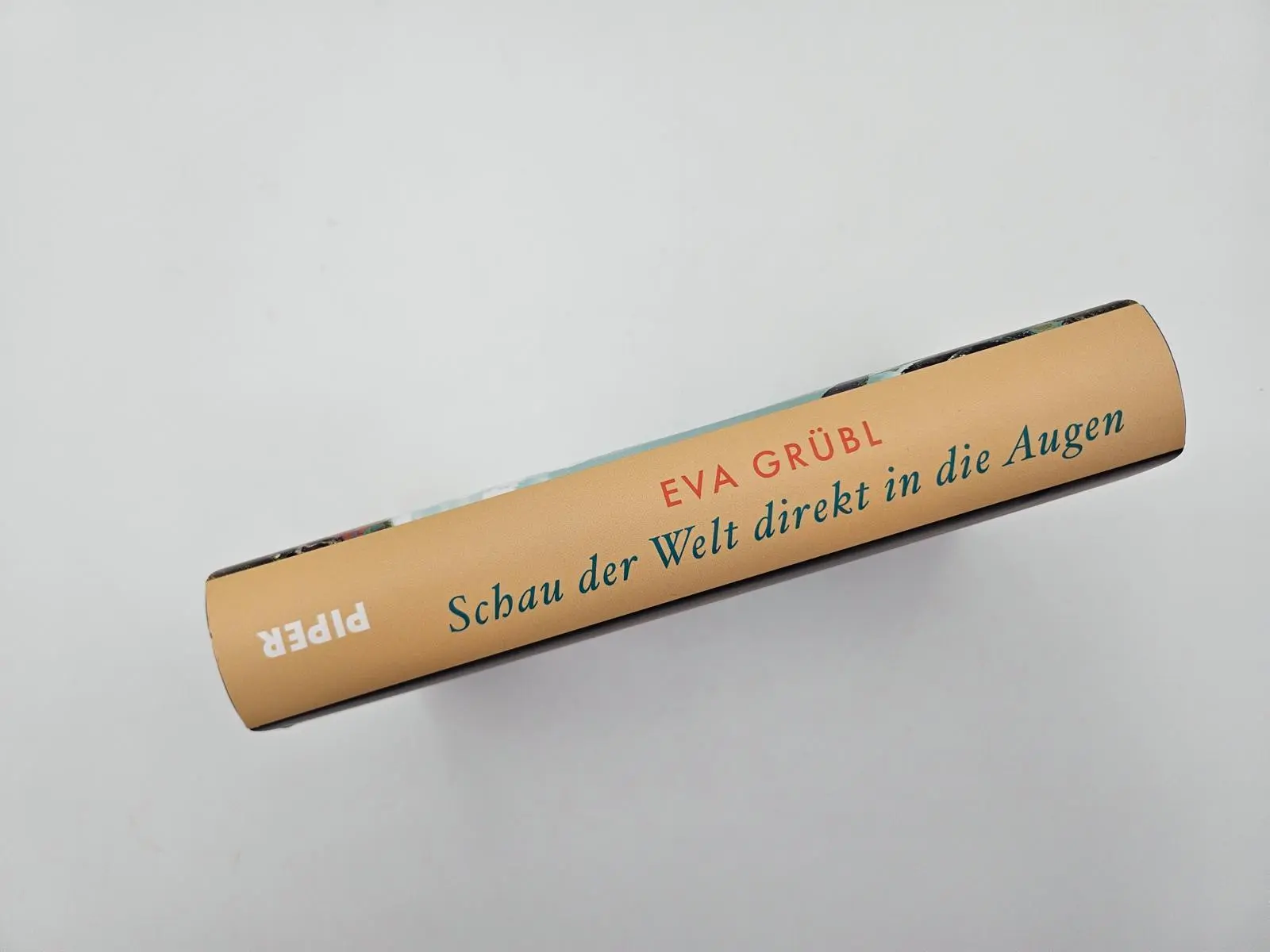Bild: 9783492073387 | Schau der Welt direkt in die Augen | Eva Grübl | Buch | 416 S. | 2025
