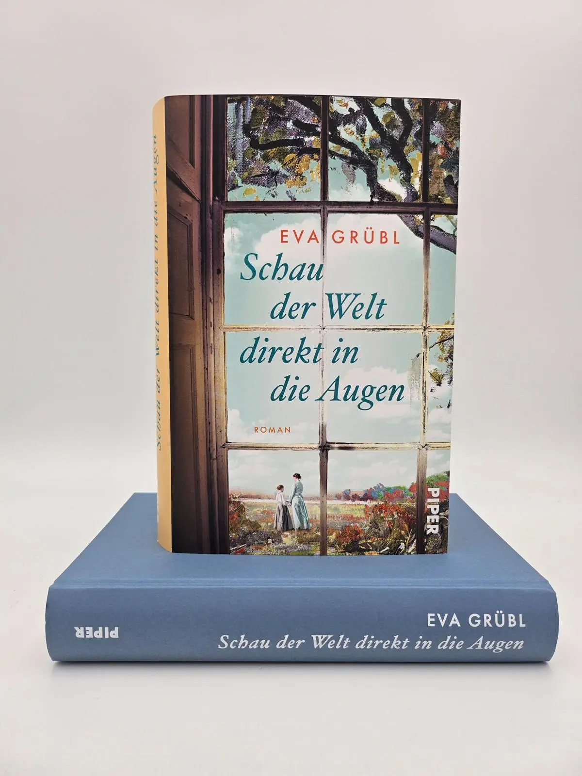 Bild: 9783492073387 | Schau der Welt direkt in die Augen | Eva Grübl | Buch | 416 S. | 2025