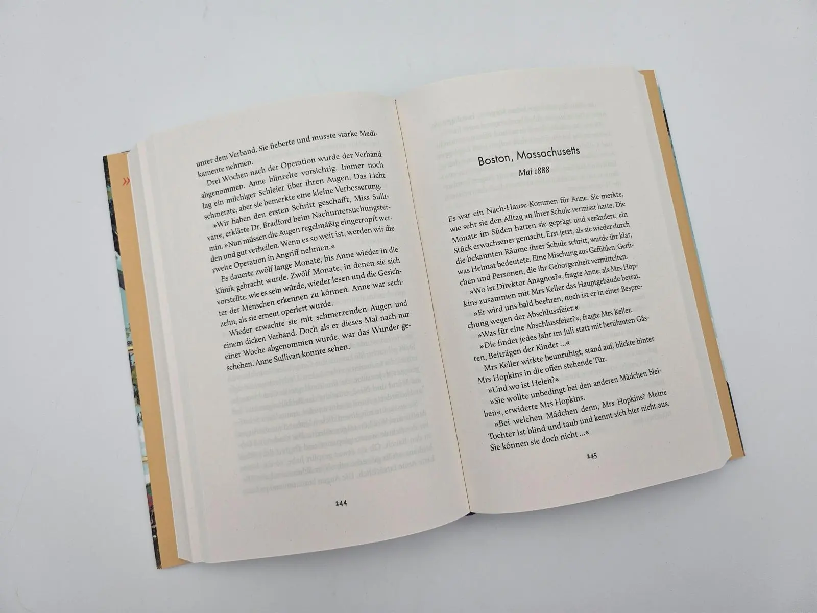 Bild: 9783492073387 | Schau der Welt direkt in die Augen | Eva Grübl | Buch | 416 S. | 2025