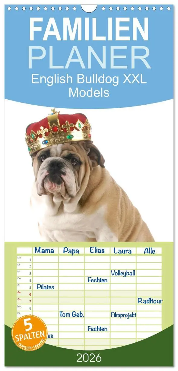 Cover: 9783516513387 | Familienplaner 2026 - English Bulldog XXL Models mit 5 Spalten...