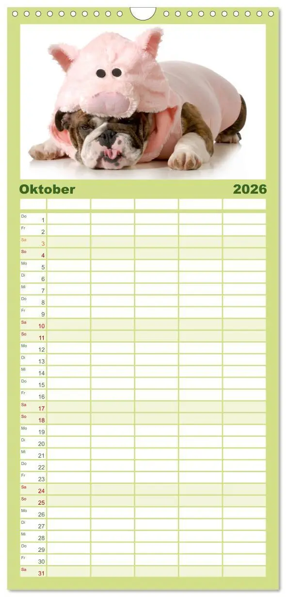 Bild: 9783516513387 | Familienplaner 2026 - English Bulldog XXL Models mit 5 Spalten...