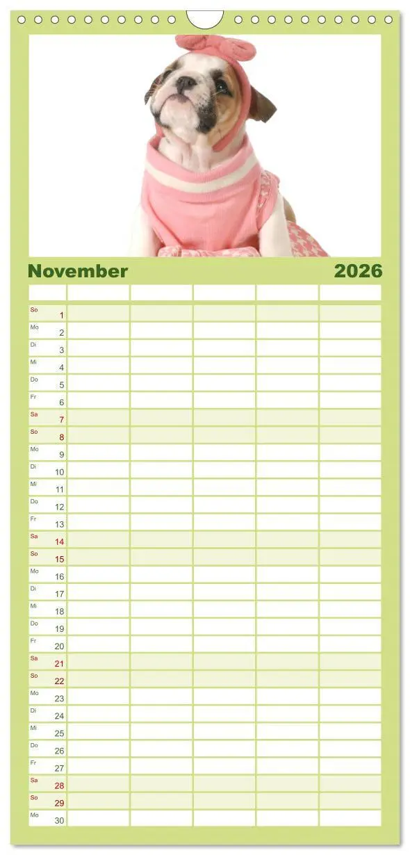 Bild: 9783516513387 | Familienplaner 2026 - English Bulldog XXL Models mit 5 Spalten...