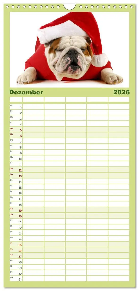 Bild: 9783516513387 | Familienplaner 2026 - English Bulldog XXL Models mit 5 Spalten...