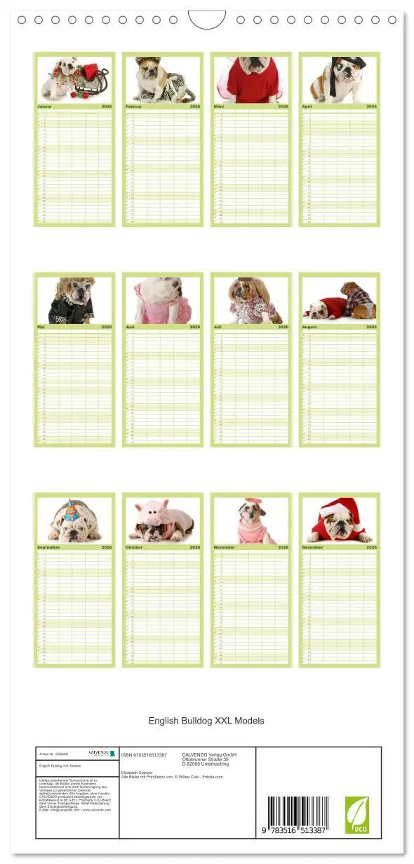 Bild: 9783516513387 | Familienplaner 2026 - English Bulldog XXL Models mit 5 Spalten...