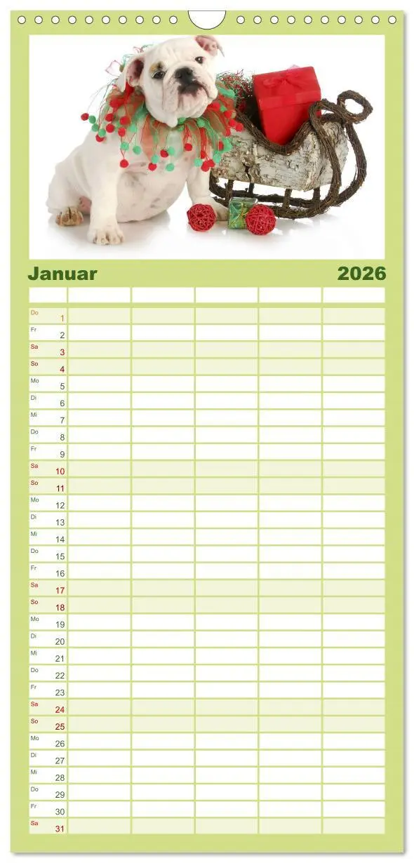 Bild: 9783516513387 | Familienplaner 2026 - English Bulldog XXL Models mit 5 Spalten...