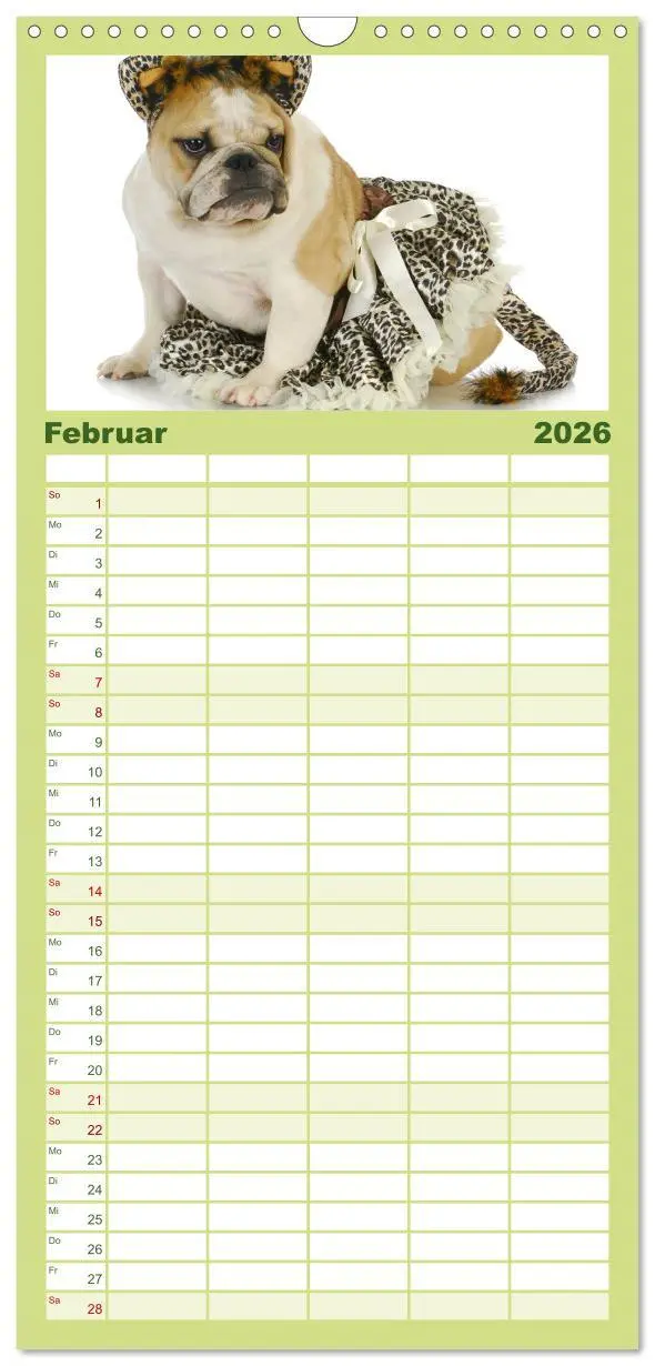 Bild: 9783516513387 | Familienplaner 2026 - English Bulldog XXL Models mit 5 Spalten...