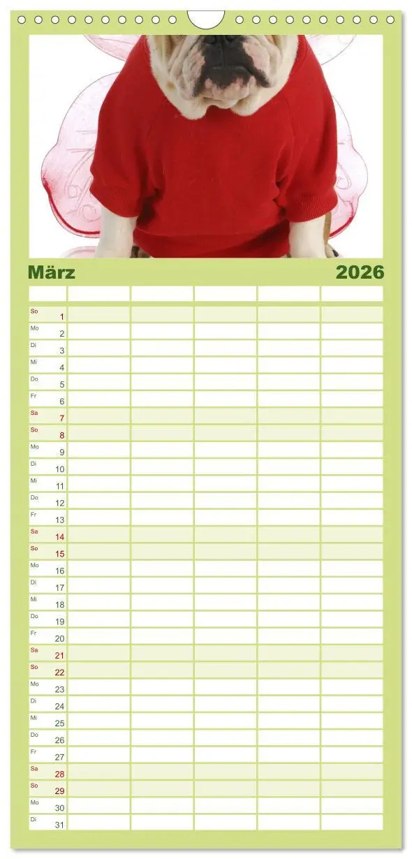 Bild: 9783516513387 | Familienplaner 2026 - English Bulldog XXL Models mit 5 Spalten...