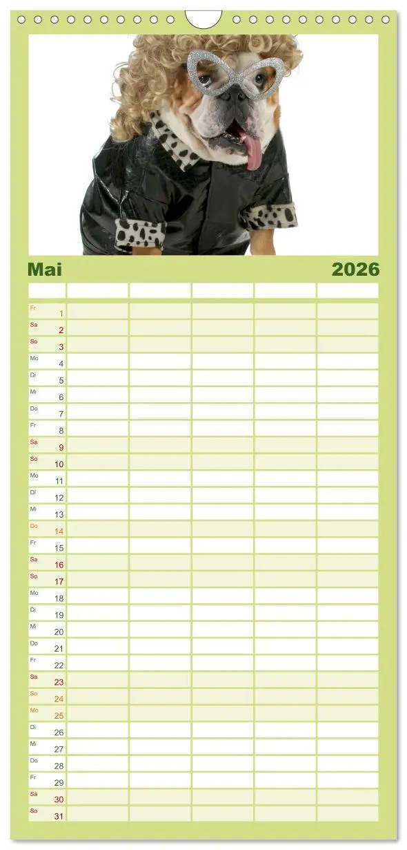 Bild: 9783516513387 | Familienplaner 2026 - English Bulldog XXL Models mit 5 Spalten...