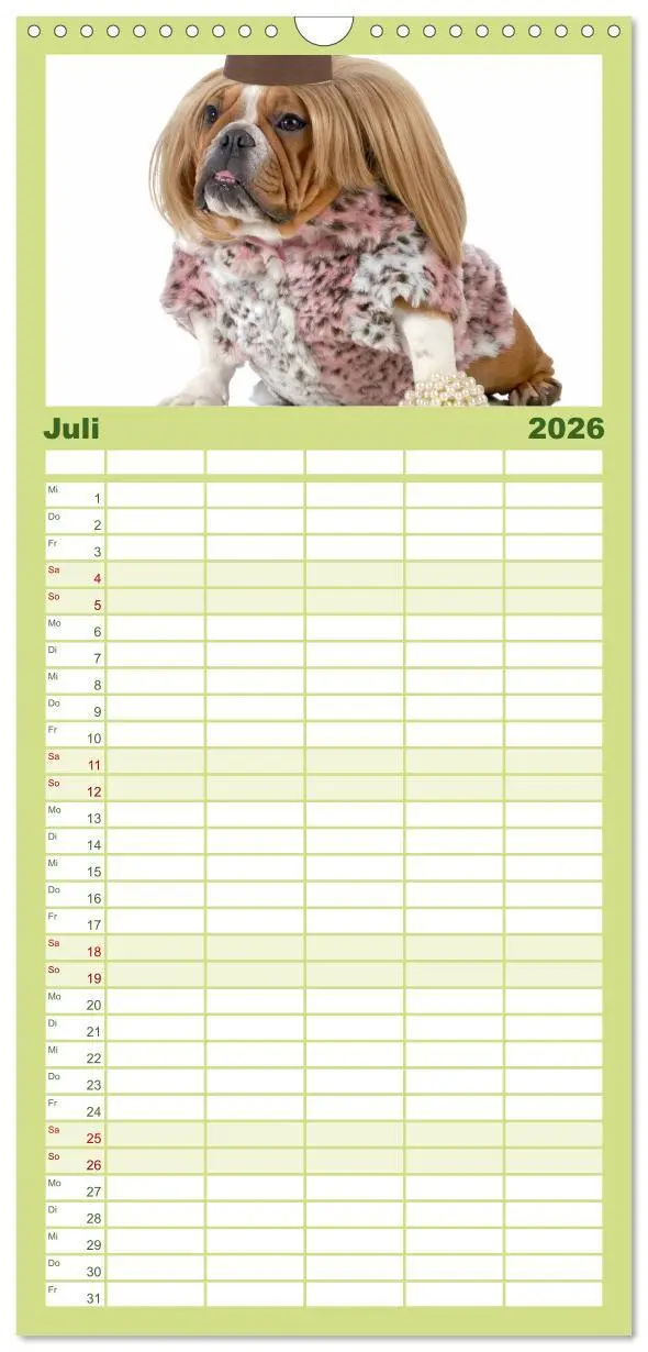 Bild: 9783516513387 | Familienplaner 2026 - English Bulldog XXL Models mit 5 Spalten...