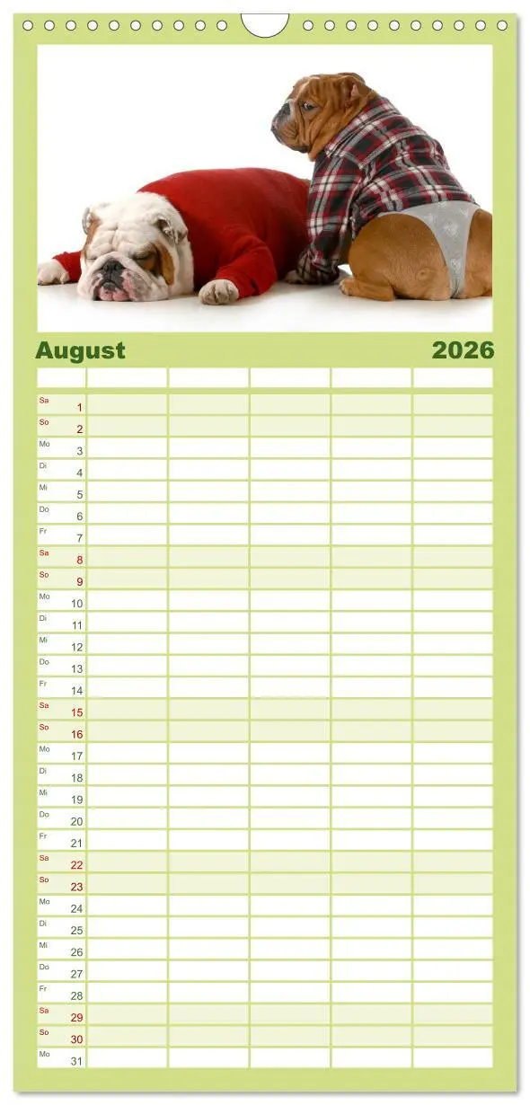 Bild: 9783516513387 | Familienplaner 2026 - English Bulldog XXL Models mit 5 Spalten...