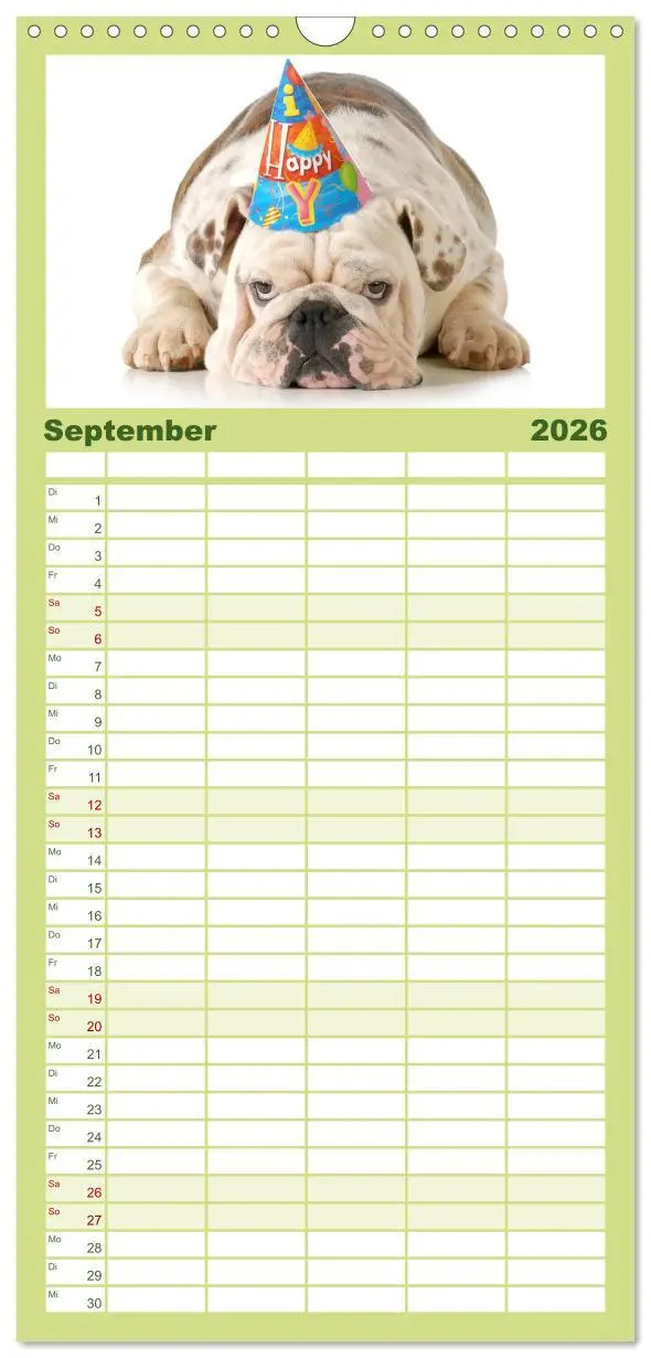 Bild: 9783516513387 | Familienplaner 2026 - English Bulldog XXL Models mit 5 Spalten...