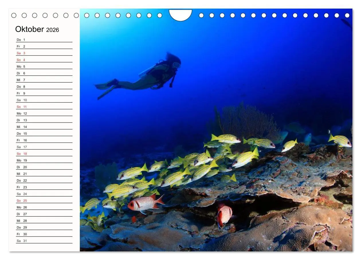 Bild: 9783457963487 | Paradiese. Karibik und Südsee über und unter Wasser (Wandkalender...