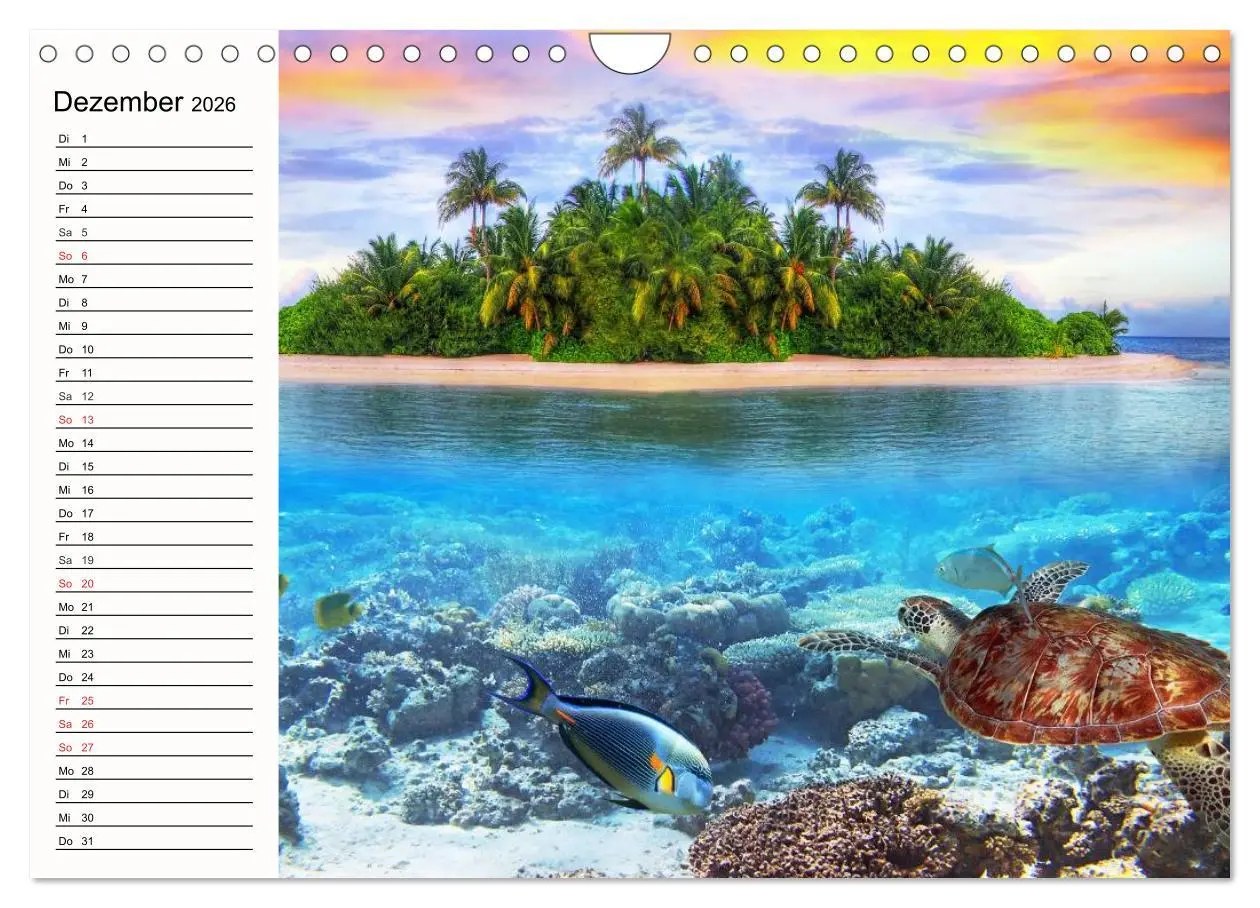Bild: 9783457963487 | Paradiese. Karibik und Südsee über und unter Wasser (Wandkalender...