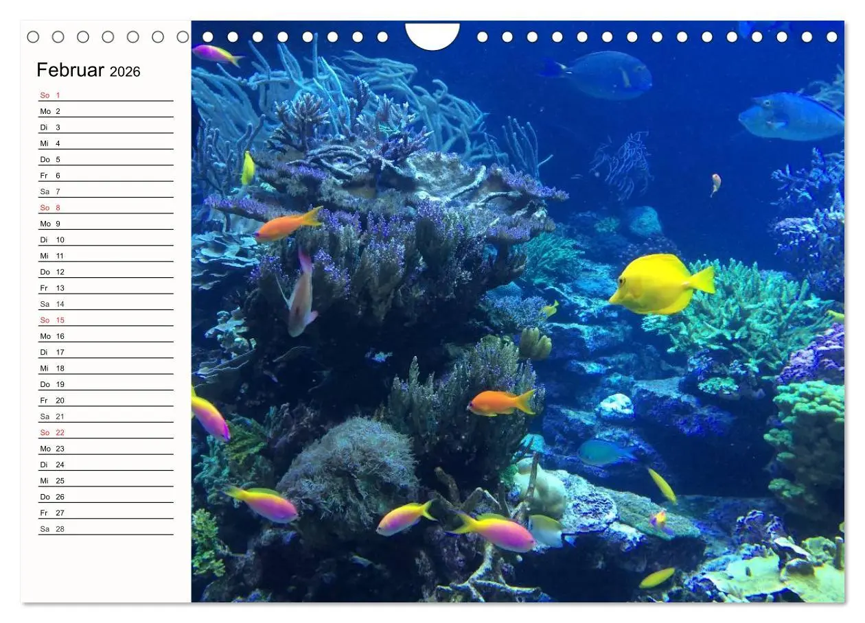 Bild: 9783457963487 | Paradiese. Karibik und Südsee über und unter Wasser (Wandkalender...