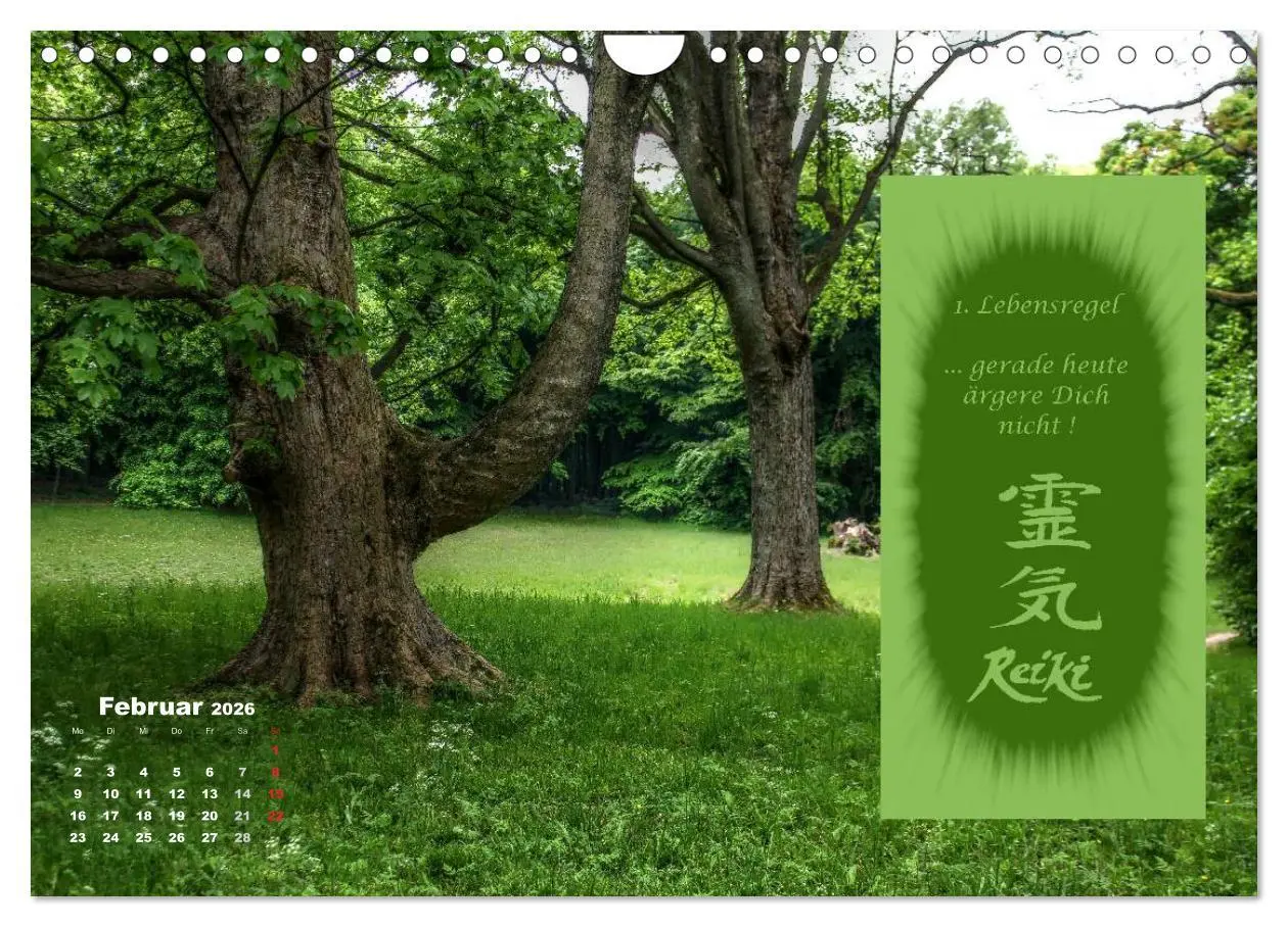 Bild: 9783516053487 | REIKI - Chakrameditation (Wandkalender 2026 DIN A4 quer), CALVENDO...