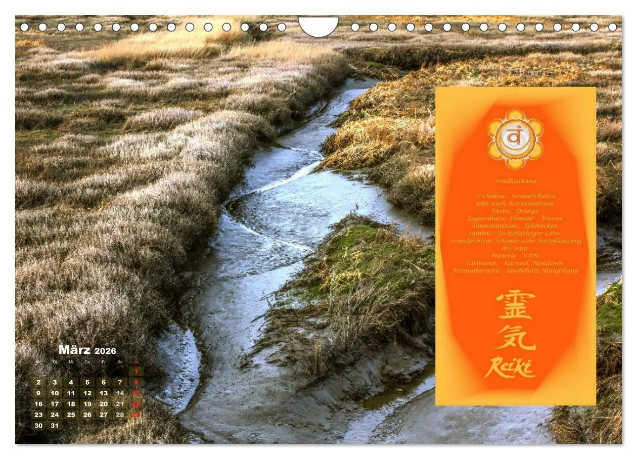 Bild: 9783516053487 | REIKI - Chakrameditation (Wandkalender 2026 DIN A4 quer), CALVENDO...