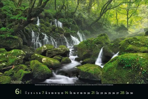 Bild: 9783731883487 | Magische Wälder 2026 | Verlag Korsch | Kalender | 14 S. | Deutsch