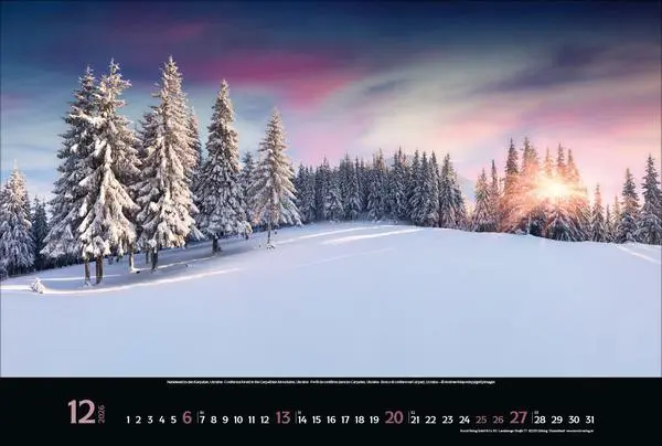 Bild: 9783731883487 | Magische Wälder 2026 | Verlag Korsch | Kalender | 14 S. | Deutsch