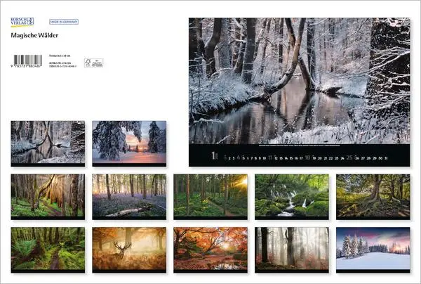 Bild: 9783731883487 | Magische Wälder 2026 | Verlag Korsch | Kalender | 14 S. | Deutsch