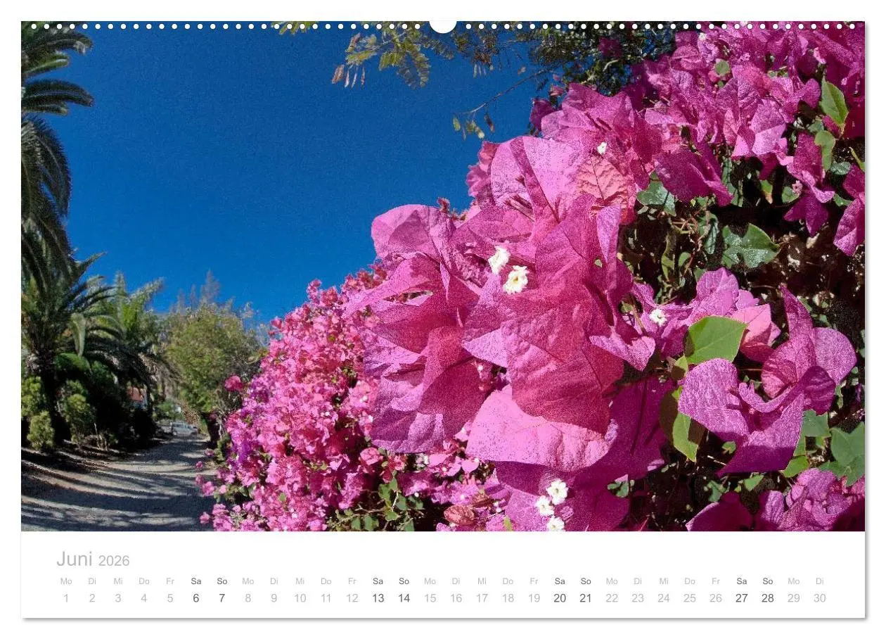 Bild: 9783516113587 | Sehnsucht nach Fuerteventura (Wandkalender 2026 DIN A2 quer),...