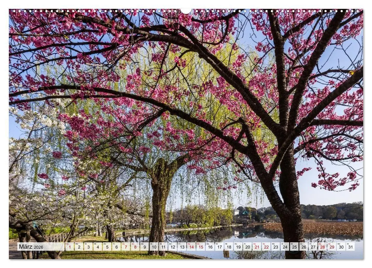 Bild: 9783516663587 | Tokio - Das Herz Japans (Wandkalender 2026 DIN A2 quer), CALVENDO...