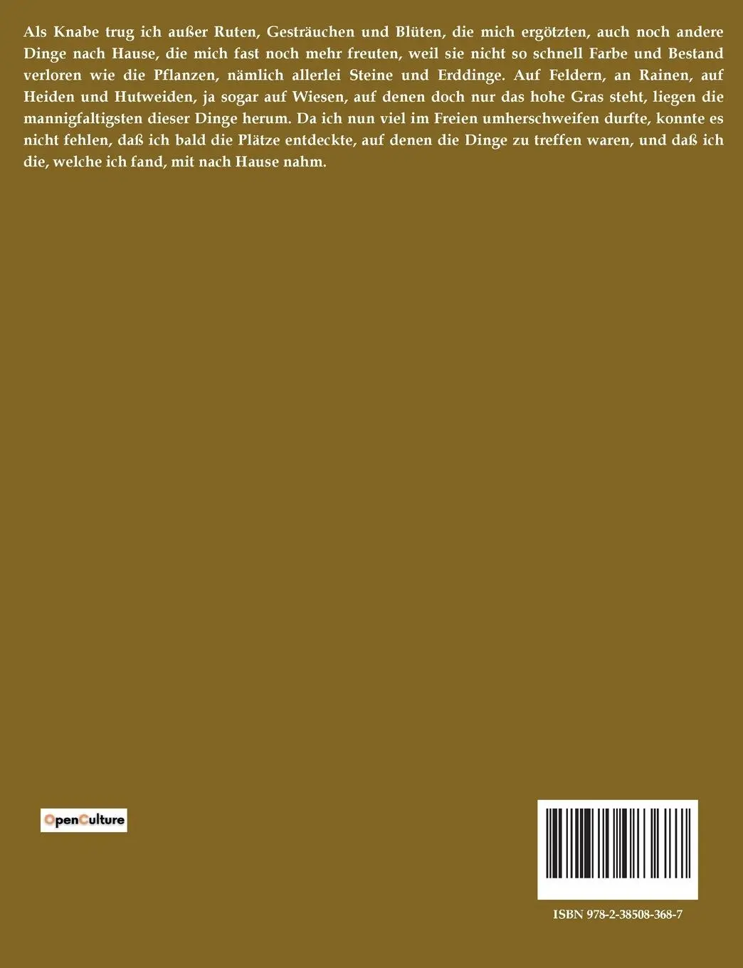 Rückseite: 9782385083687 | Bunte Steine | Ein Festgeschenk | Adalbert Stifter | Taschenbuch