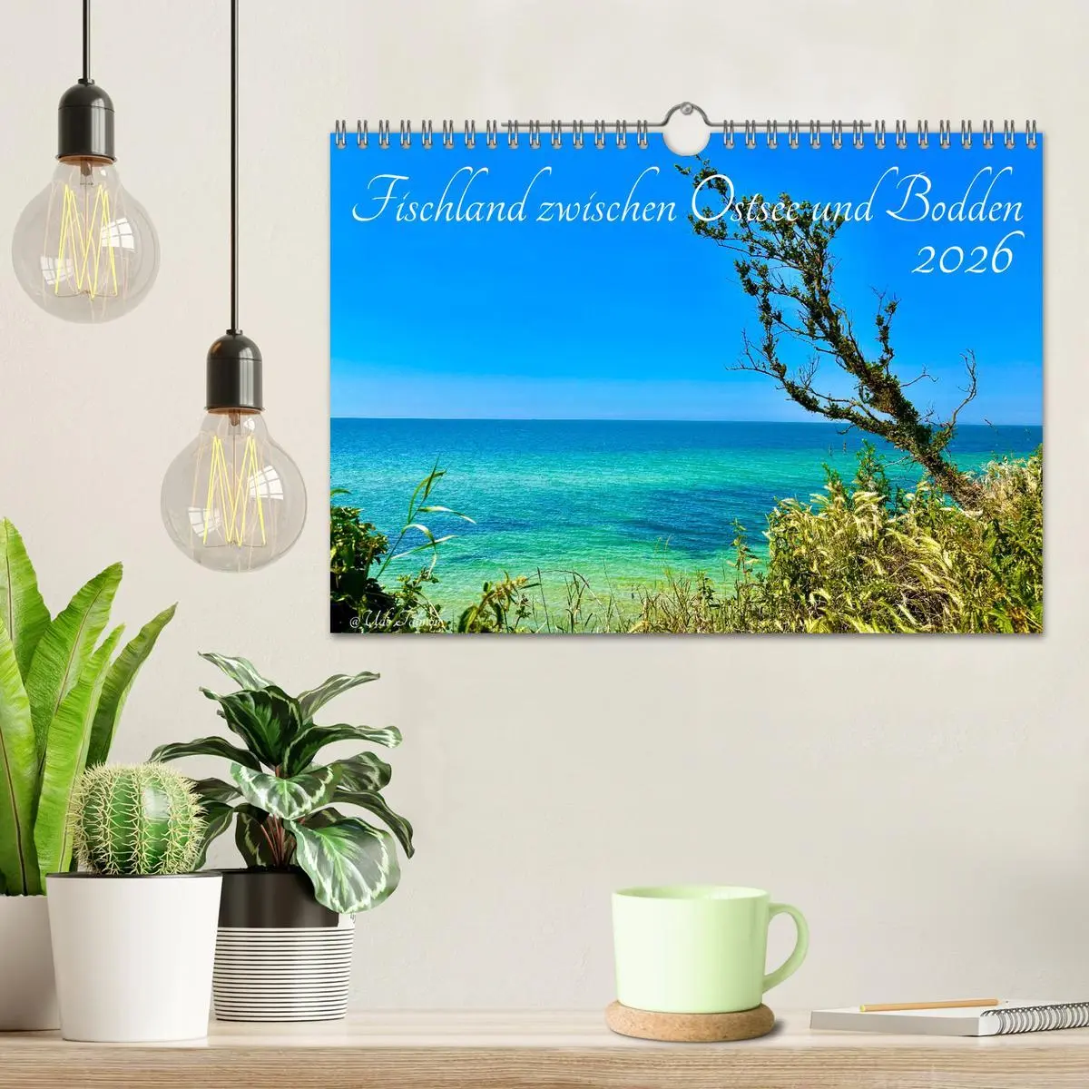 Bild: 9783457323687 | Fischland zwischen Ostsee und Bodden (Wandkalender 2026 DIN A4...
