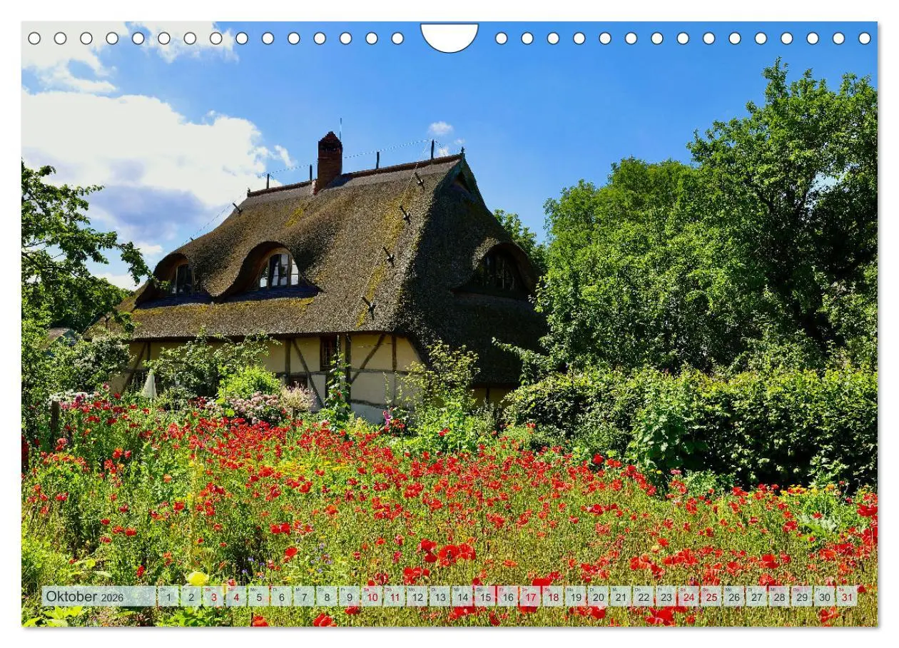 Bild: 9783457323687 | Fischland zwischen Ostsee und Bodden (Wandkalender 2026 DIN A4...