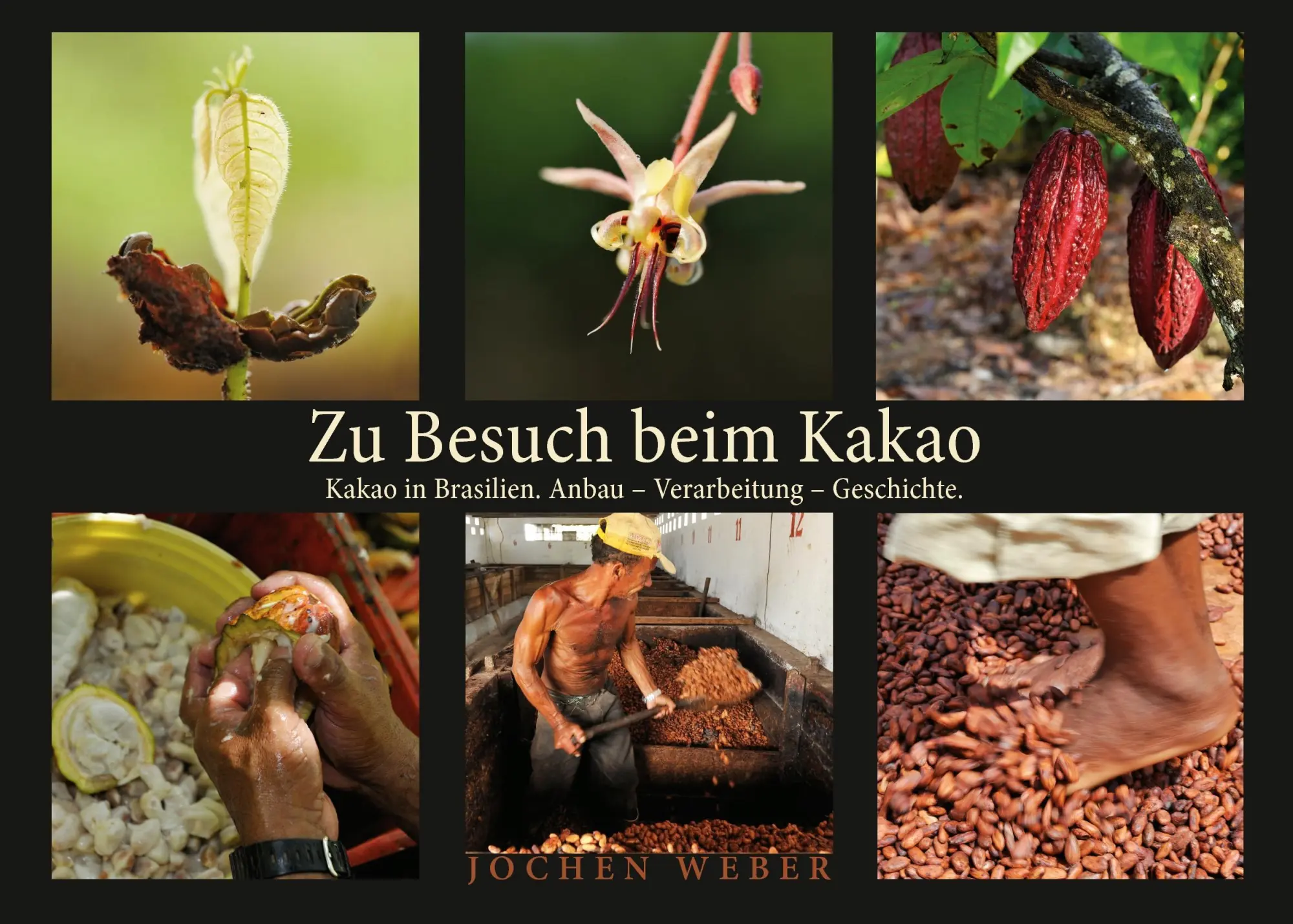 Cover: 9783741213687 | Zu Besuch beim Kakao | Jochen Weber | Taschenbuch | Paperback | 196 S.