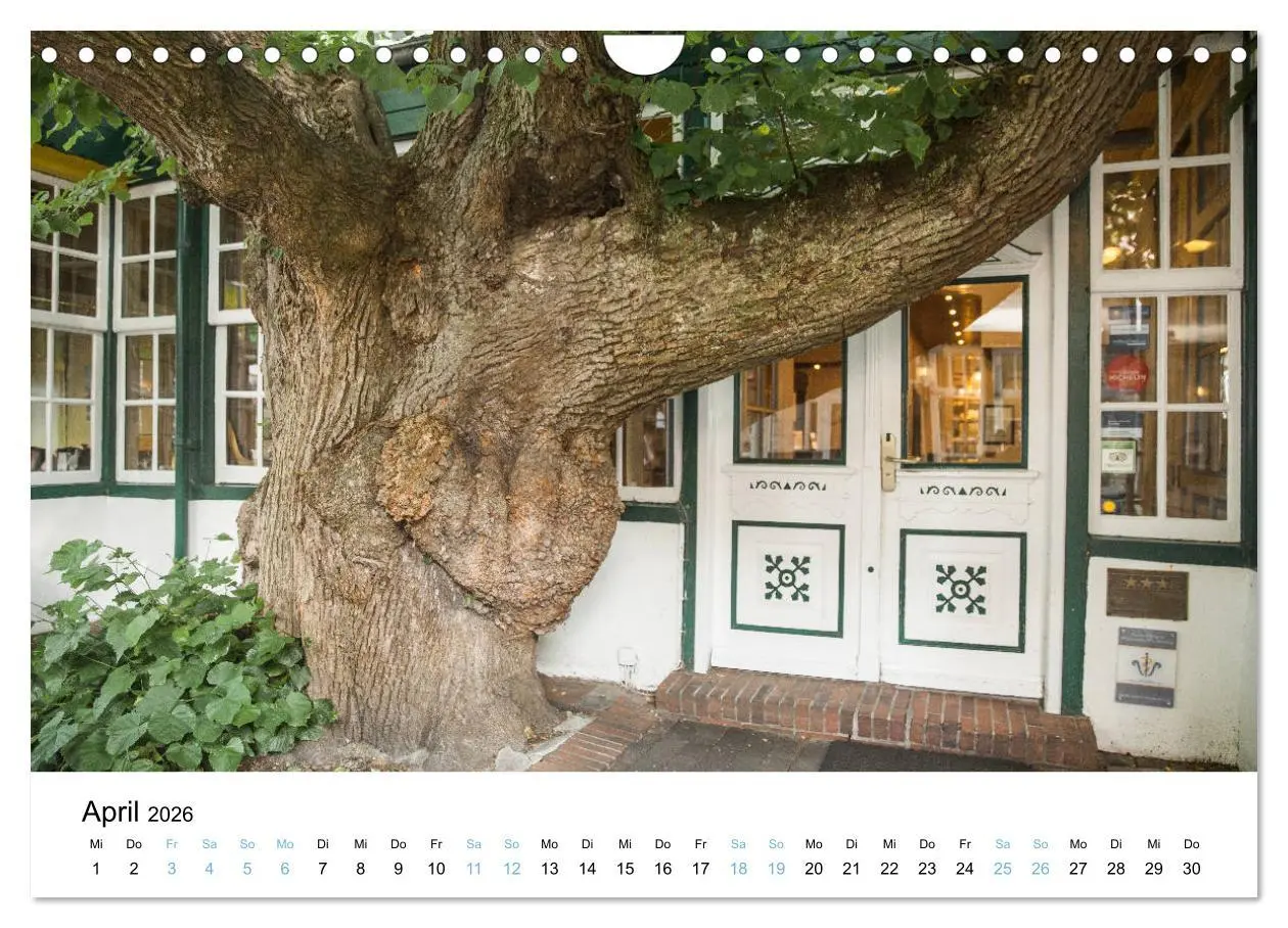 Bild: 9783457863787 | Lieblingsinsel Spiekeroog (Wandkalender 2026 DIN A4 quer), CALVENDO...