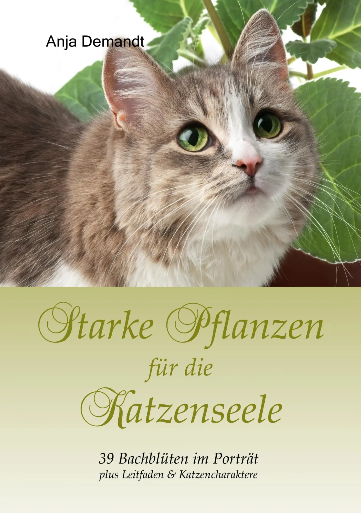 Cover: 9783842353787 | Starke Pflanzen für die Katzenseele | Anja Demandt | Taschenbuch
