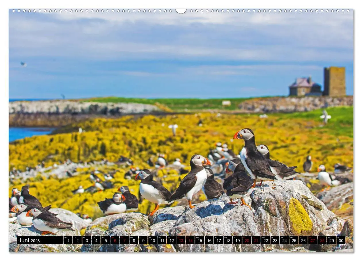 Bild: 9783457853887 | Blickpunkte Nordenglands (Wandkalender 2026 DIN A2 quer), CALVENDO...