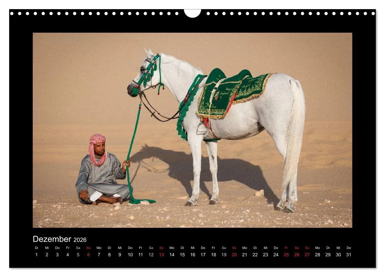 Bild: 9783516183887 | Vollblutaraber (Wandkalender 2026 DIN A3 quer), CALVENDO...