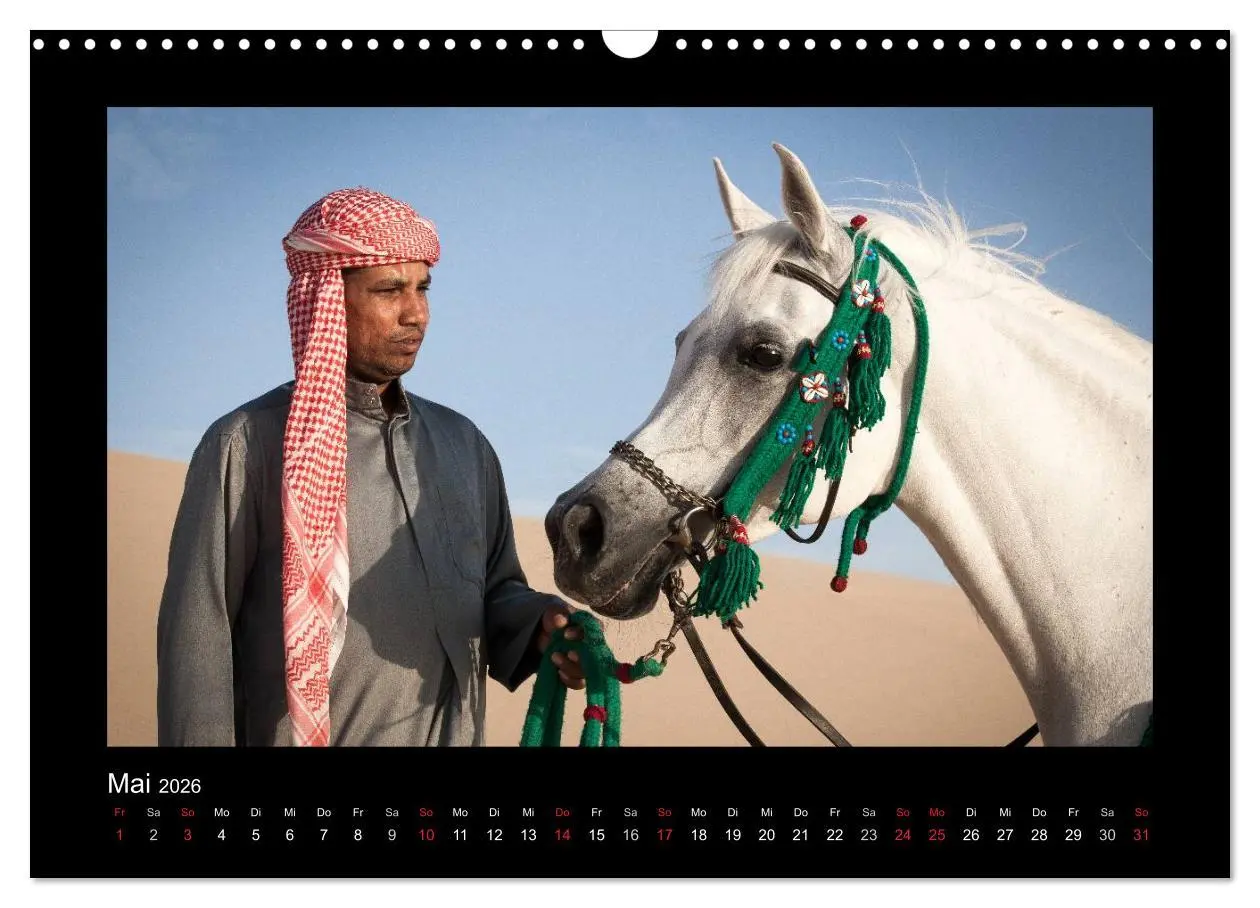 Bild: 9783516183887 | Vollblutaraber (Wandkalender 2026 DIN A3 quer), CALVENDO...