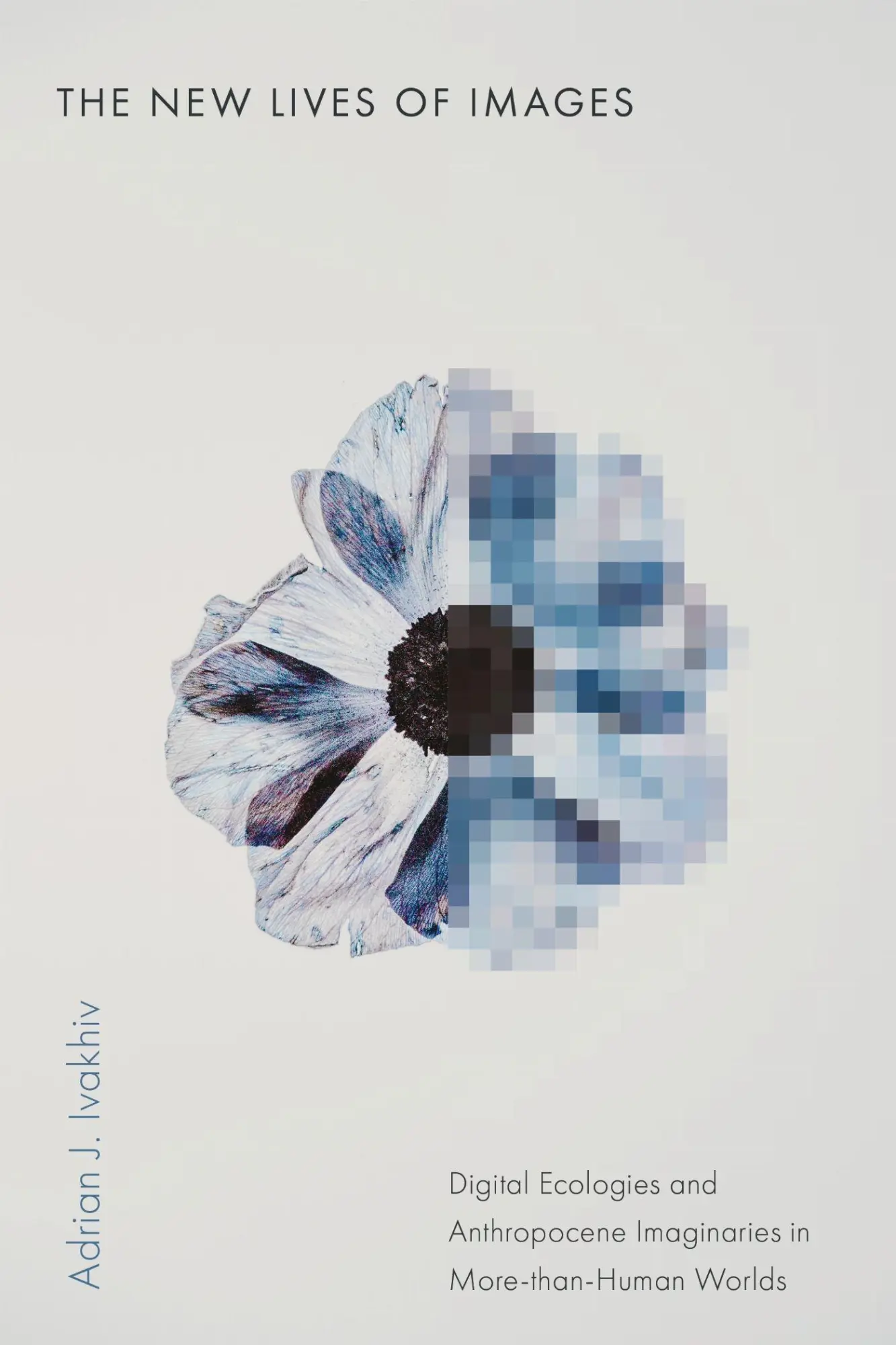 Cover: 9781503643987 | The New Lives of Images | Adrian J Ivakhiv | Taschenbuch | Englisch