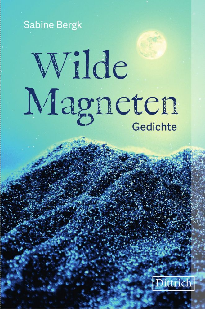 Cover: 9783947373987 | Wilde Magneten | Gedichte | Sabine Bergk | Buch | CXXVIII | Deutsch