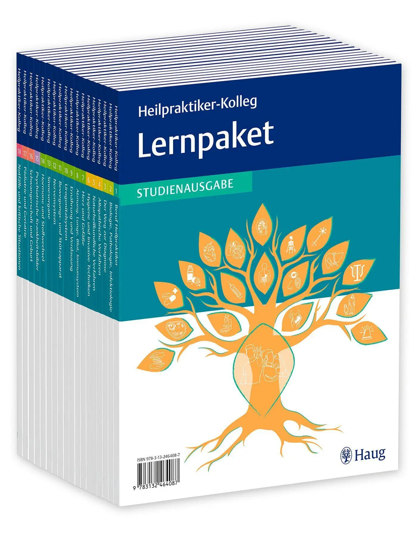 Cover: 9783132464087 | Heilpraktiker-Kolleg - Lernpaket Studienausgabe | Taschenbuch | 2026
