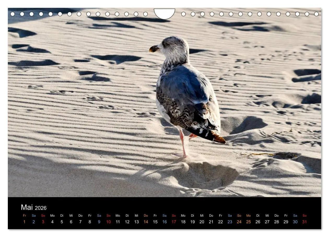 Bild: 9783516134087 | Warnemünde - Maritime Landschaften (Wandkalender 2026 DIN A4 quer),...