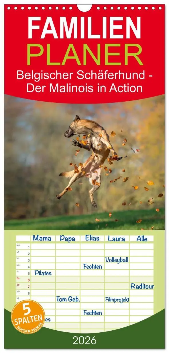 Cover: 9783516514087 | Familienplaner 2026 - Belgischer Schäferhund - Der Malinois in...