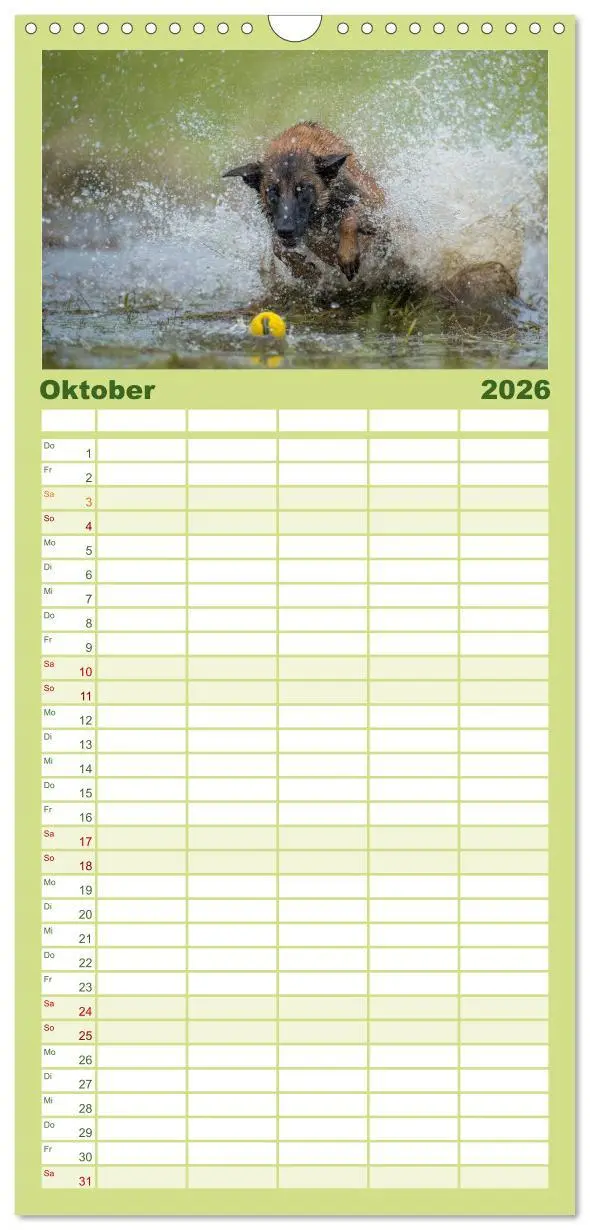 Bild: 9783516514087 | Familienplaner 2026 - Belgischer Schäferhund - Der Malinois in...