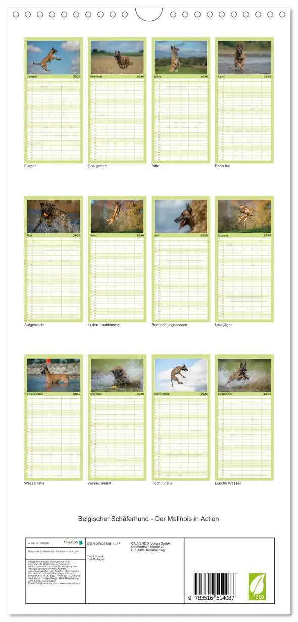 Bild: 9783516514087 | Familienplaner 2026 - Belgischer Schäferhund - Der Malinois in...
