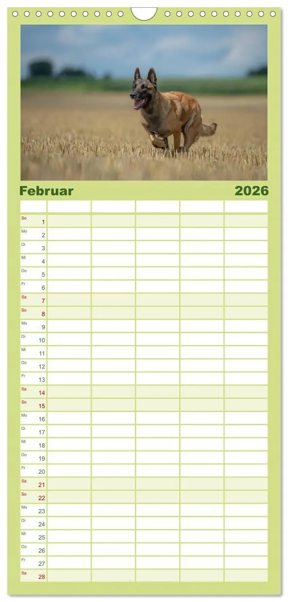 Bild: 9783516514087 | Familienplaner 2026 - Belgischer Schäferhund - Der Malinois in...