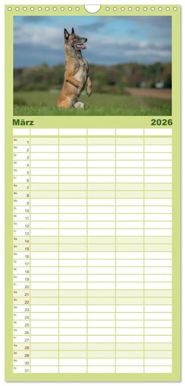 Bild: 9783516514087 | Familienplaner 2026 - Belgischer Schäferhund - Der Malinois in...