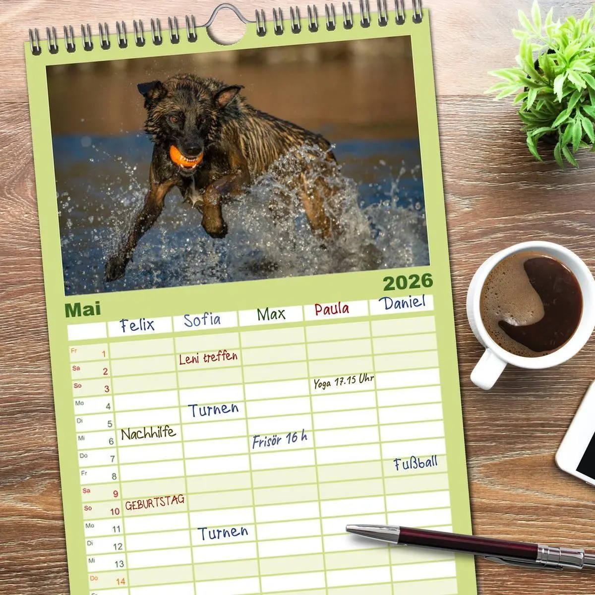 Bild: 9783516514087 | Familienplaner 2026 - Belgischer Schäferhund - Der Malinois in...