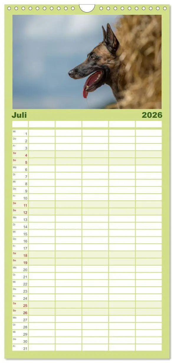 Bild: 9783516514087 | Familienplaner 2026 - Belgischer Schäferhund - Der Malinois in...