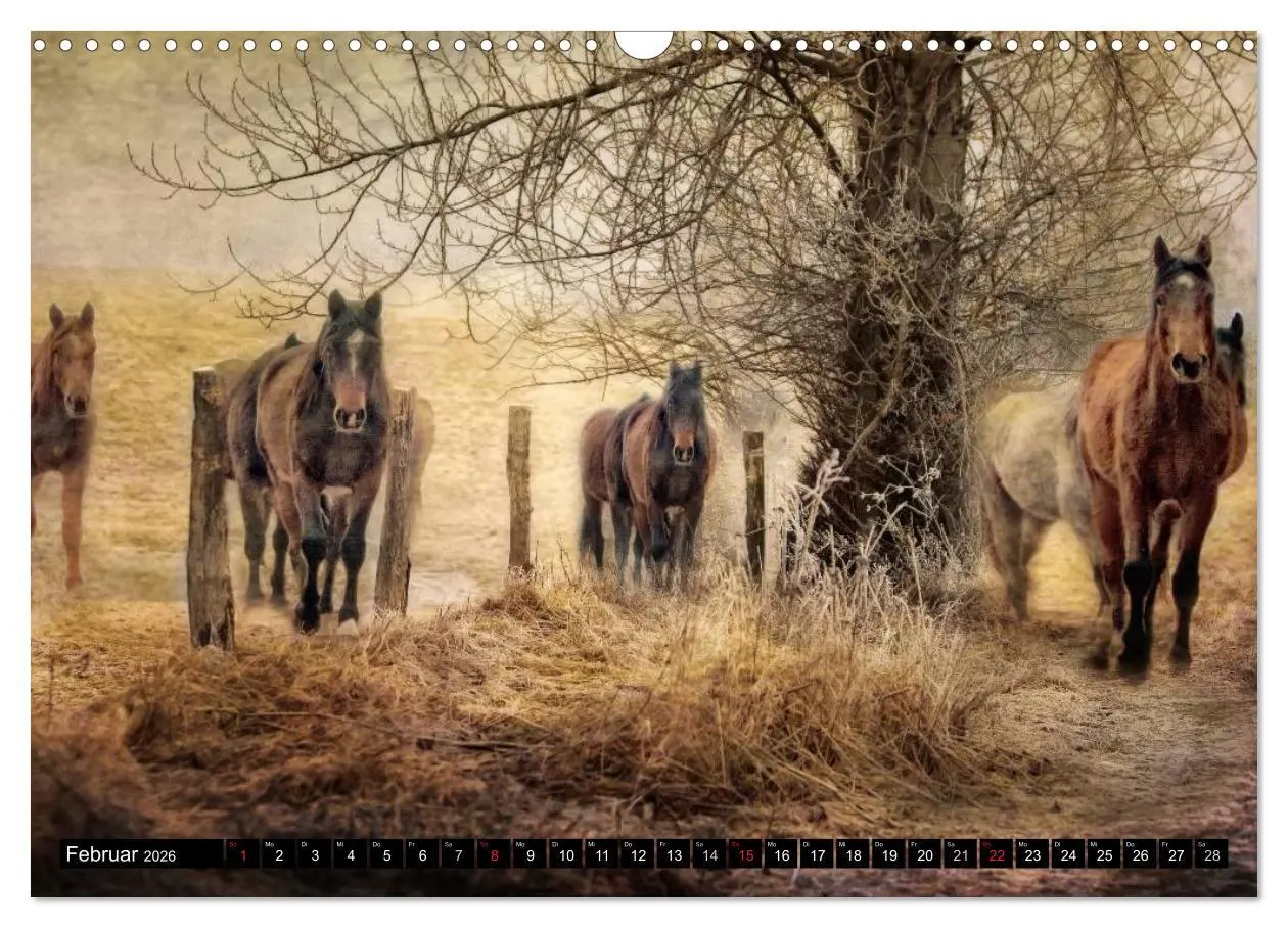 Bild: 9783457964187 | Western und Pferde (Wandkalender 2026 DIN A3 quer), CALVENDO...