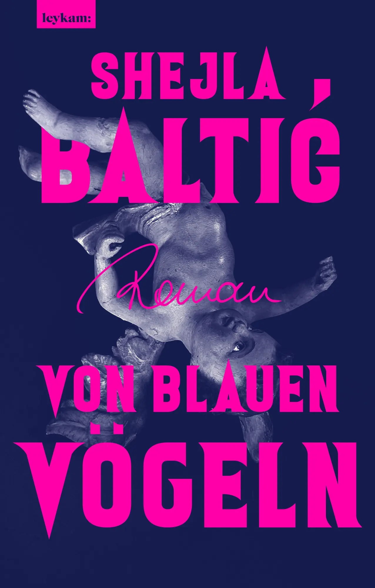 Cover: 9783701184187 | Von blauen Vögeln | Roman | Shejla Baltic | Buch | 224 S. | Deutsch